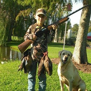 Meet your Posher, Billy